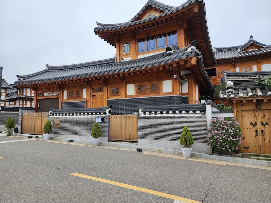 대구 샐러드